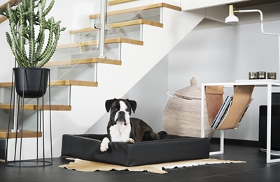 BIA BED HONDENMAND ORTHOPEDISCH ZWART — BIA-6 100X80X15 CM — afbeelding 3