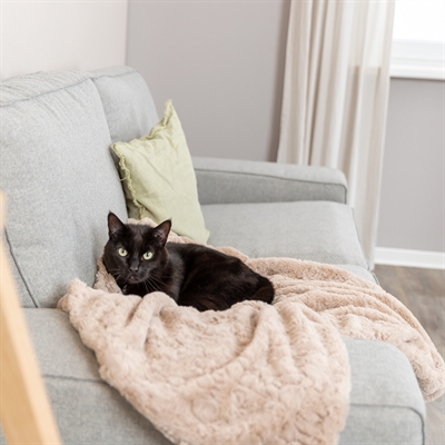 Trixie hondendeken cosy fleece beige (100X70 CM) - Afbeelding 2