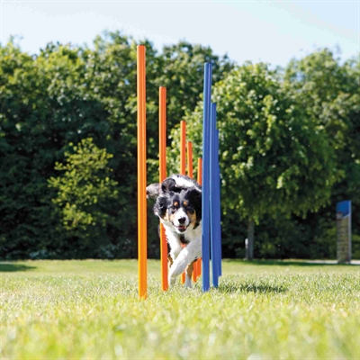TRIXIE DOG ACTIVITY AGILITY SLALOM STOKKEN BLAUW / ORANJE — 115X3 CM 12 ST — afbeelding 7