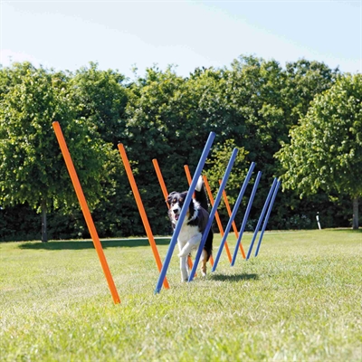 TRIXIE DOG ACTIVITY AGILITY SLALOM STOKKEN BLAUW / ORANJE — 115X3 CM 12 ST — afbeelding 8