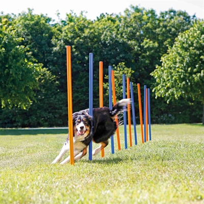 TRIXIE DOG ACTIVITY AGILITY SLALOM STOKKEN BLAUW / ORANJE — 115X3 CM 12 ST — afbeelding 9