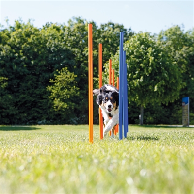 TRIXIE DOG ACTIVITY AGILITY SLALOM STOKKEN BLAUW / ORANJE — 115X3 CM 12 ST — afbeelding 10