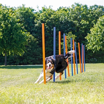 TRIXIE DOG ACTIVITY AGILITY SLALOM STOKKEN BLAUW / ORANJE — 115X3 CM 12 ST — afbeelding 11