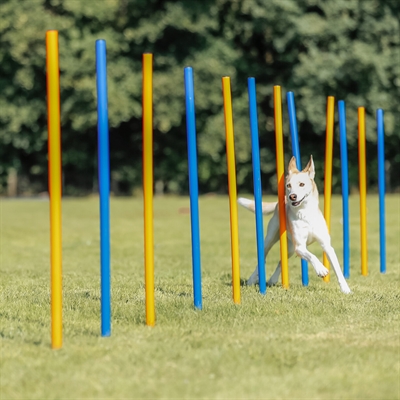 TRIXIE DOG ACTIVITY AGILITY SLALOM STOKKEN BLAUW / ORANJE — 115X3 CM 12 ST — afbeelding 12