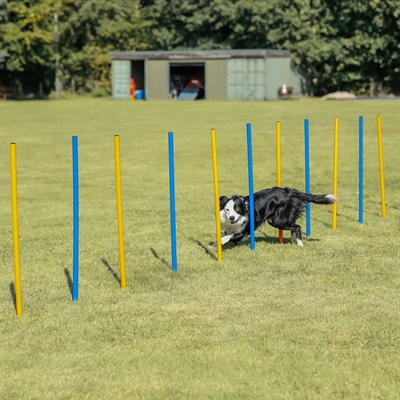 TRIXIE DOG ACTIVITY AGILITY SLALOM STOKKEN BLAUW / ORANJE — 115X3 CM 12 ST — afbeelding 15