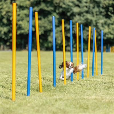 TRIXIE DOG ACTIVITY AGILITY SLALOM STOKKEN BLAUW / ORANJE — 115X3 CM 12 ST — afbeelding 16