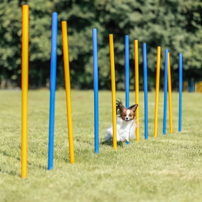 TRIXIE DOG ACTIVITY AGILITY SLALOM STOKKEN BLAUW / ORANJE — 115X3 CM 12 ST — afbeelding 17