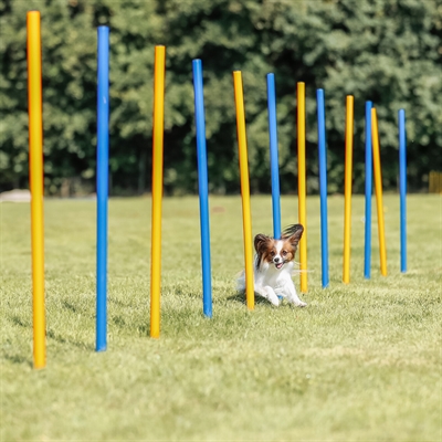 TRIXIE DOG ACTIVITY AGILITY SLALOM STOKKEN BLAUW / ORANJE — 115X3 CM 12 ST — afbeelding 18
