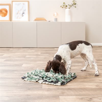 TRIXIE ACTIVITY SNUFFELMAT — 50X34 CM — afbeelding 11