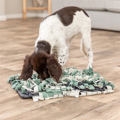 TRIXIE ACTIVITY SNUFFELMAT — 50X34 CM — afbeelding 12