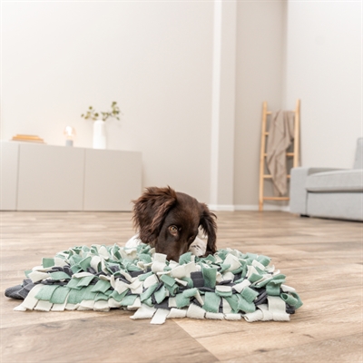 TRIXIE ACTIVITY SNUFFELMAT — 50X34 CM — afbeelding 14