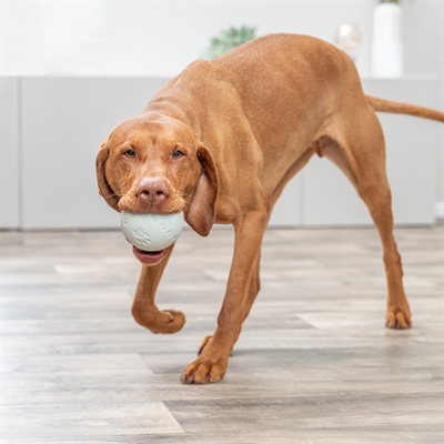 TRIXIE SNACKBAL RUBBER GRIJS — 9 CM — afbeelding 2