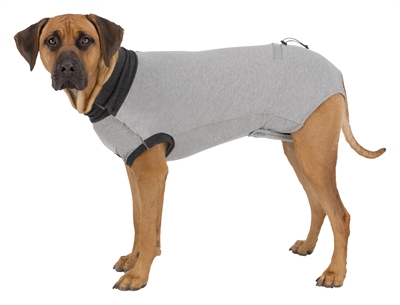 T-shirt Trixie Gris XS pour Chien Post-Chirurgie – Image 4