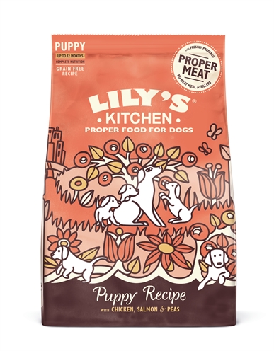 LILY'S KITCHEN DOG PUPPY CHICKEN / SALMON