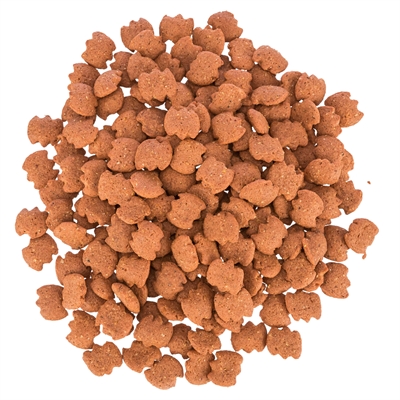 Trixie denta fun dentinos met vitamines (50 GR) - Afbeelding 4