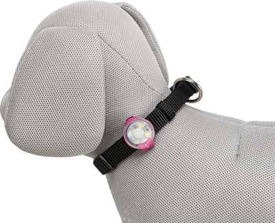 TRIXIE USB FLASHER ASSORTI — 3X3X8 CM — afbeelding 12