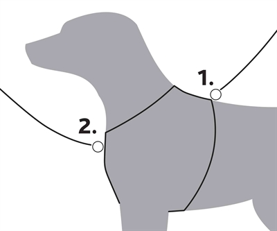 Harnais Indigo Premium pour Chien de Marque Trixie – Image 6