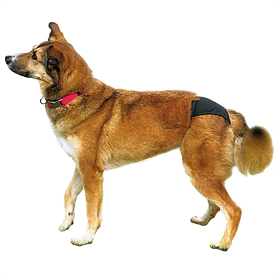 Trixie loopsheidbroekje zwart (S 24-31 CM) - Afbeelding 4