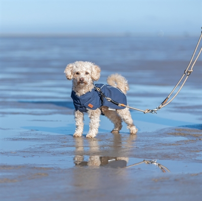 Trixie be nordic regenjas husum blauw (62 CM) - Afbeelding 10