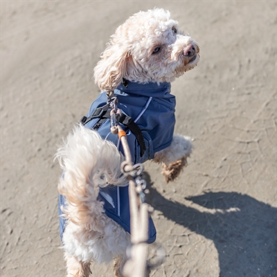 Trixie be nordic regenjas husum blauw (62 CM) - Afbeelding 12