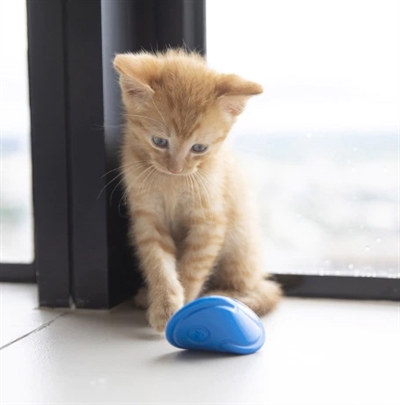Jw cat tumbler - Afbeelding 3