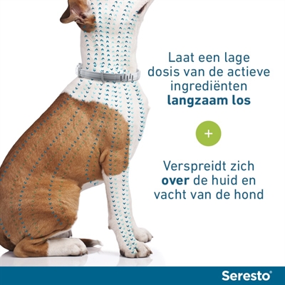 Seresto teken- en vlooienband hond (VANAF 8 KG 70 CM 2 ST) - Afbeelding 3