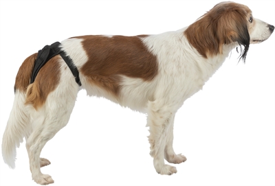 TRIXIE BESCHERMBROEKJE COMFORT MESH MATERIAAL ZWART — 35-43 CM — afbeelding 5