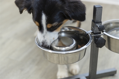 TRIXIE VOERBAK HOND SLOW FEEDING RVS — 21 CM — afbeelding 4