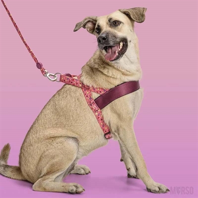 MORSO NORWEGIAN HONDENTUIG GERECYCLED PINK THINK ROZE — 46-60X42 CM — afbeelding 4