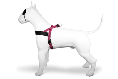 MORSO NORWEGIAN HONDENTUIG GERECYCLED BUBBLE LEO ROZE — 46-60X42 CM