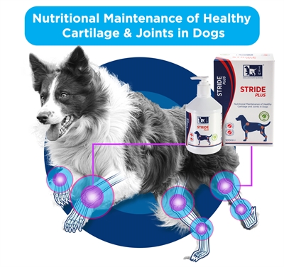 TRM STRIDE PLUS — 200 ML — afbeelding 2