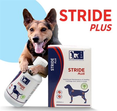 TRM STRIDE PLUS — 200 ML — afbeelding 3