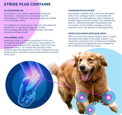 TRM STRIDE PLUS — 200 ML — afbeelding 4