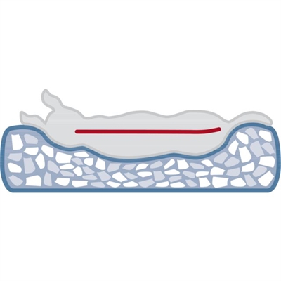 TRIXIE HONDENMAND VITAL JONNA RIBFLUWEEL SALIEGROEN — 60X50 CM — afbeelding 3