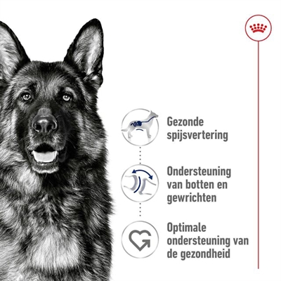 ROYAL CANIN MAXI ADULT — 15 KG — afbeelding 2