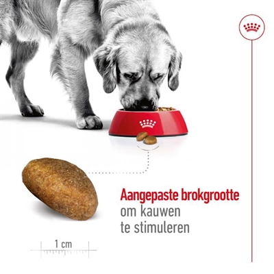 ROYAL CANIN MAXI ADULT — 15 KG — afbeelding 3