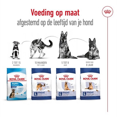 ROYAL CANIN MAXI ADULT — 15 KG — afbeelding 4