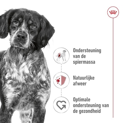 ROYAL CANIN MEDIUM ADULT — 15 KG — afbeelding 2