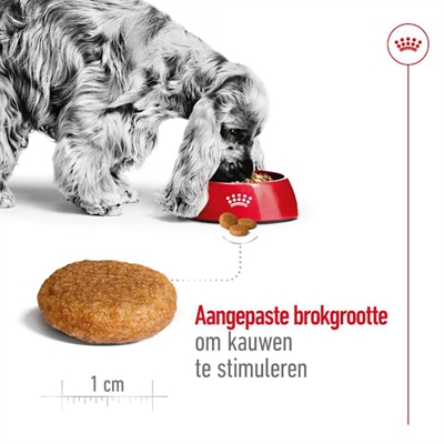 ROYAL CANIN MEDIUM ADULT — 15 KG — afbeelding 3