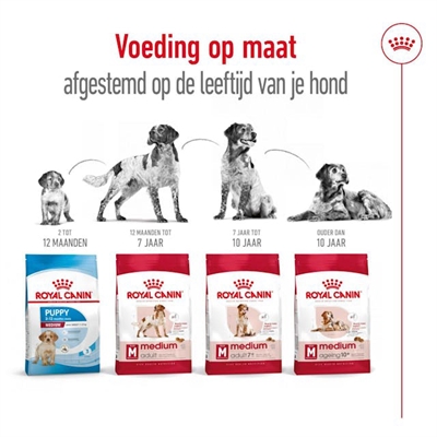 ROYAL CANIN MEDIUM ADULT — 15 KG — afbeelding 4