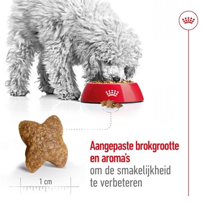 ROYAL CANIN MINI ADULT — 2 KG — afbeelding 4