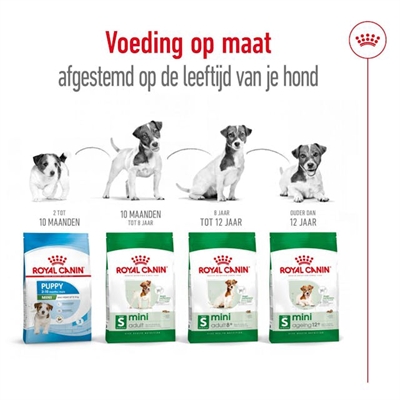 ROYAL CANIN MINI ADULT — 2 KG — afbeelding 5