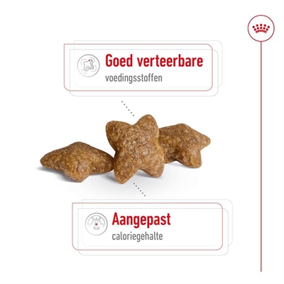 ROYAL CANIN MINI ADULT — 4 KG