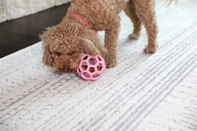 JW HOL-EE ROLLER TREND-EE ROZE — 11,5X11,5X11,5 CM — afbeelding 2