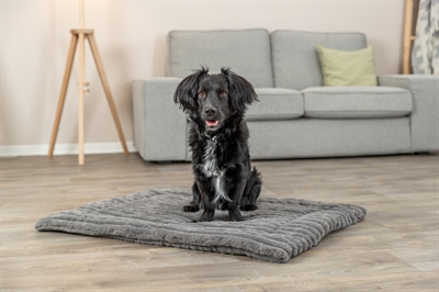 TRIXIE LIGMAT LONNI RIBFLUWEEL GRIJS — 90X65 CM — afbeelding 5
