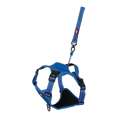 ZOLUX EASYRIDE HONDENTUIG BLAUW