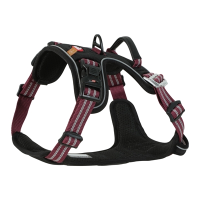 ZOLUX BVK HONDENTUIG RED — XS 25,5-38X33-43 CM