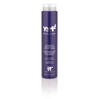 YUUP! WHITENING AND BRIGHTENING SHAMPOO