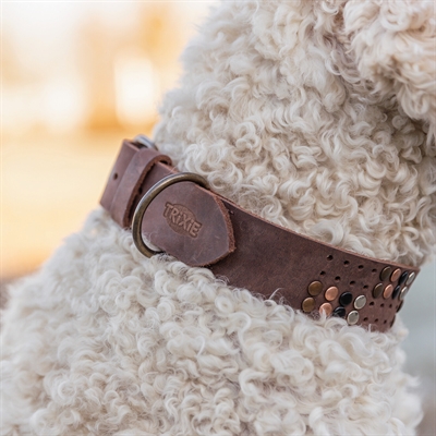TRIXIE HALSBAND HOND RIVET RUSTIC VETLEER DONKERBRUIN — S-M 34-40X3 CM — afbeelding 2