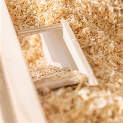 Trixie observatiebox muis / hamster met tunnel onbehandeld hout (36X17 CM) - Afbeelding 11